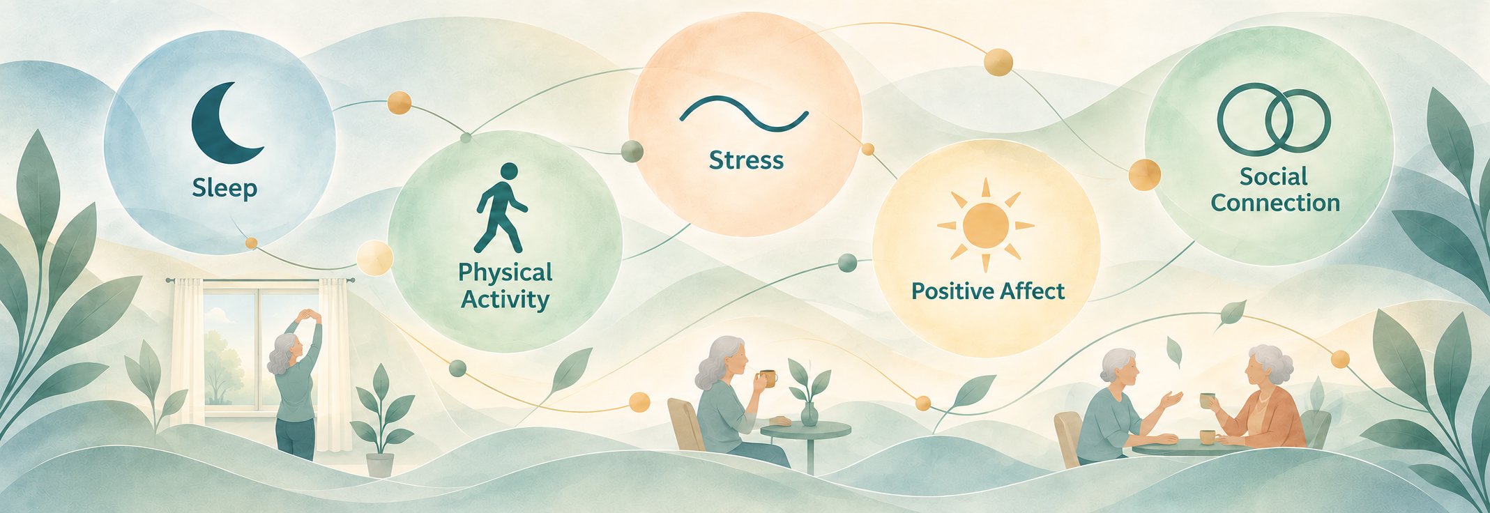 Illustration of daily routines in later adulthood, connected with sleep, physical activity, stress, positive affect, and social connection.
